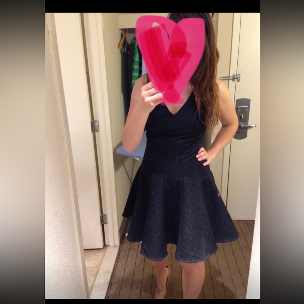 Black Greylin fit and flare dress